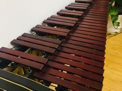 -音歆国艺馆·民乐培训(双榆树店)