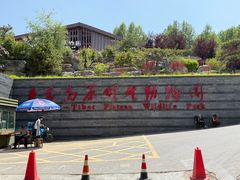 -青藏高原野生动物园