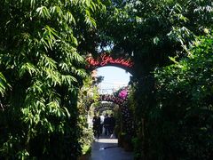 -The Grounds of Alexandria