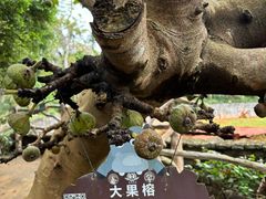 -海南热带野生动植物园