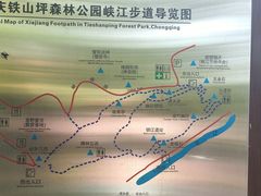 -铁山坪森林公园