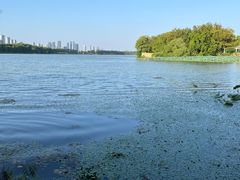 -东湖欢乐水世界