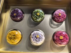 -稻香村(首都国际机场3号航站楼店)