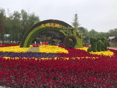 -大兴滨河森林公园