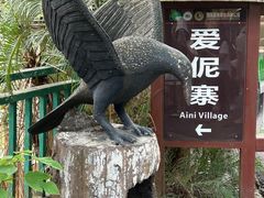 -西双版纳原始森林公园