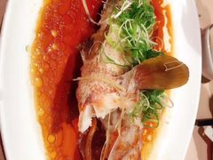 -陶陶居海鲜酒家(新马路店)