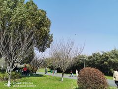 -九里河湿地公园
