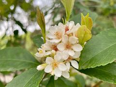 -广东中医药博物馆