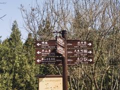 -北京西山国家森林公园