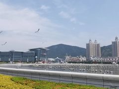 -星海广场