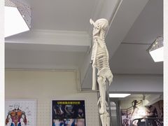 -中田健身工作室(东园店)