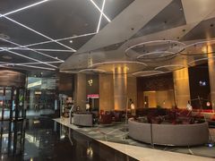 -南京禄口机场雅高铂尔曼大酒店
