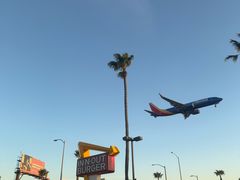 -In-N-Out Burger(LAX)