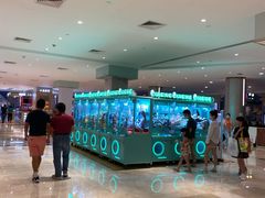 -皇庭广场(福华三路店)