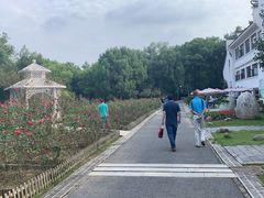 -东湖落雁景区