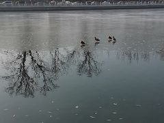 -后海公园