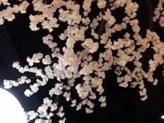 -蓝鲸湾汤泉(包河店)