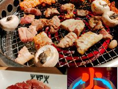 -火炉火自助餐(枫蓝国际店)