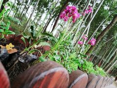 -柯岩风景区