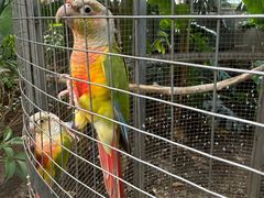 -大连森林动物园