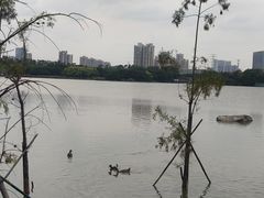 -海珠湖公园