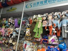 -北京观赏动物医院·24小时大型综合·猫专科·异宠专科