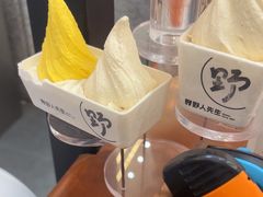 -野人先生Gelato(上海长宁龙之梦店)