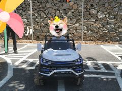 -西部长青自然儿童乐园