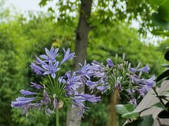 -上海山野camping·户外天幕烧烤·团建拓展营地