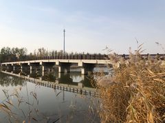 -西青郊野公园