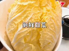 大白菜-五悦北平四季涮肉·烧烤(老商埠店)