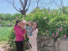 -济南国际园博园