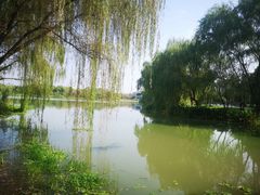 -九里河湿地公园