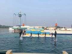 -秦皇岛乐岛海洋王国