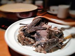 清炖黑鸡汤-黑鸡小馆(金源店)