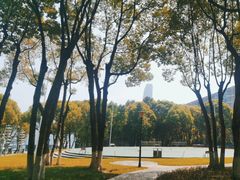 -重庆市江北嘴中央商务区中央公园