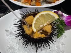 海胆-鸭绿江海鲜烧烤大排档(杏林街店)