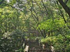 -惠山国家森林公园