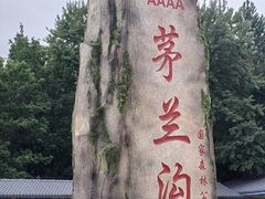 -茅兰沟国家森林公园