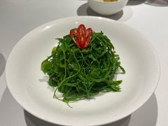-洋房火锅(上海新天地南北里店)