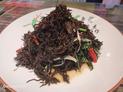 -阿财老铺·老蚌埠龙虾城(华夏总店)
