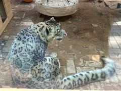 -青藏高原野生动物园