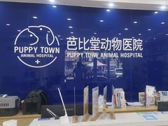 -芭比堂动物医院·24小时·眼科中心(深圳中心)