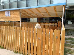 -廊坊固安福朋喜来登酒店