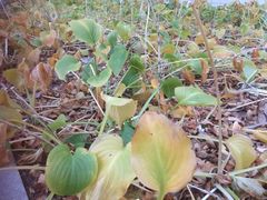 -北京国家会计学院