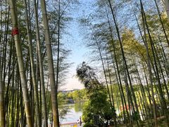 -宜兴龙背山森林公园
