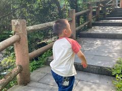 -藏龙百瀑风景区