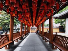 -上海东林寺(金山区)