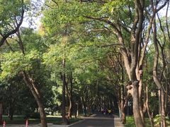 -东湖落雁景区