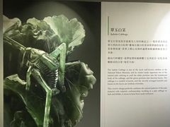 -台北故宫博物院